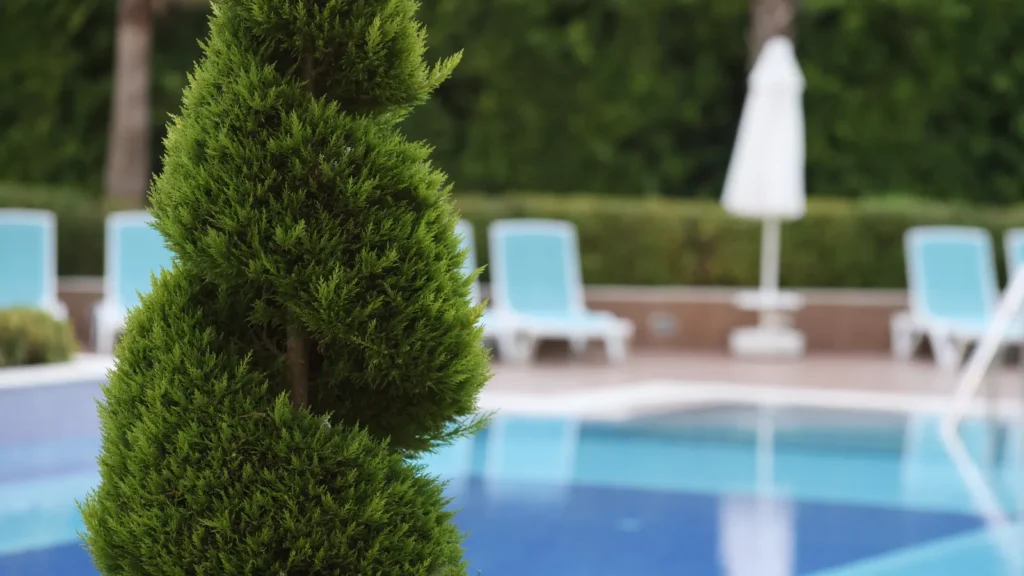 pool 4 - Stockholm Poolliner Pool